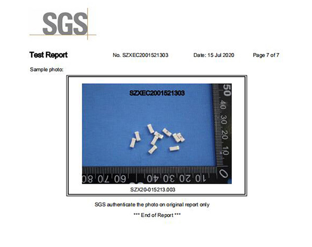 一次性保险丝SGS认证报告7